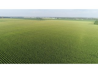 Union County, Indiana Farmland - REAL ESTATE AUCTION - 805+/- ACRES IN 11 TRACTS IN UNION COUNTY, INDIANA